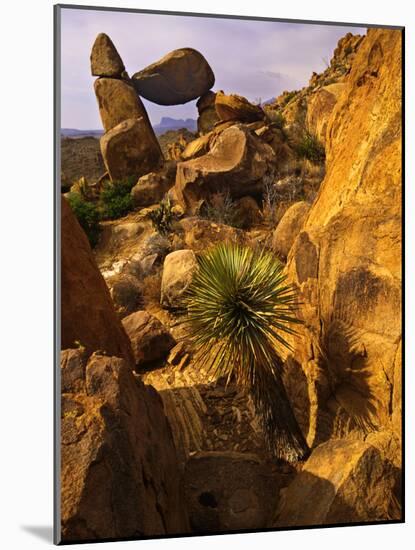 Rock Formations in Grapevine Hills, Big Bend National Park, Texas, USA-Jerry Ginsberg-Mounted Photographic Print