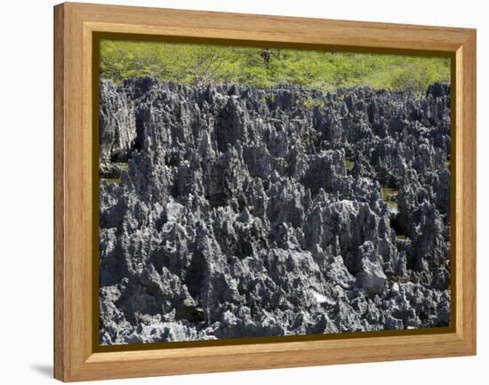 Rock Formations in Hell, Grand Cayman, Cayman Islands, Greater Antilles, West Indies, Caribbean-Richard Cummins-Framed Premier Image Canvas