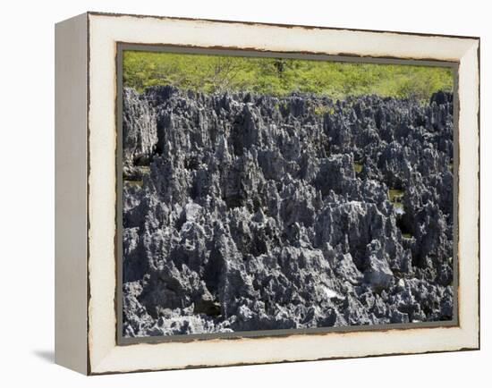 Rock Formations in Hell, Grand Cayman, Cayman Islands, Greater Antilles, West Indies, Caribbean-Richard Cummins-Framed Premier Image Canvas