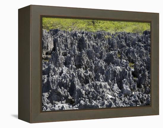 Rock Formations in Hell, Grand Cayman, Cayman Islands, Greater Antilles, West Indies, Caribbean-Richard Cummins-Framed Premier Image Canvas