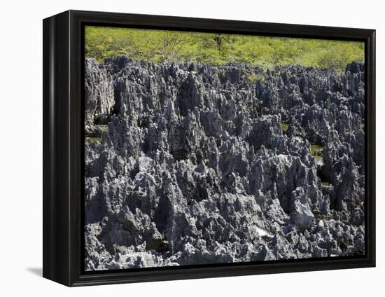 Rock Formations in Hell, Grand Cayman, Cayman Islands, Greater Antilles, West Indies, Caribbean-Richard Cummins-Framed Premier Image Canvas