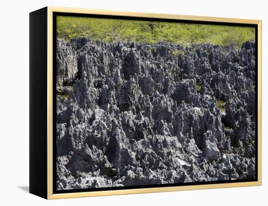 Rock Formations in Hell, Grand Cayman, Cayman Islands, Greater Antilles, West Indies, Caribbean-Richard Cummins-Framed Premier Image Canvas