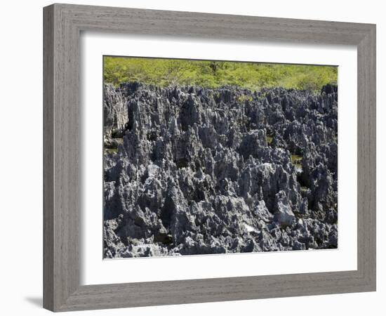 Rock Formations in Hell, Grand Cayman, Cayman Islands, Greater Antilles, West Indies, Caribbean-Richard Cummins-Framed Photographic Print