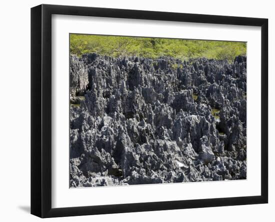 Rock Formations in Hell, Grand Cayman, Cayman Islands, Greater Antilles, West Indies, Caribbean-Richard Cummins-Framed Photographic Print