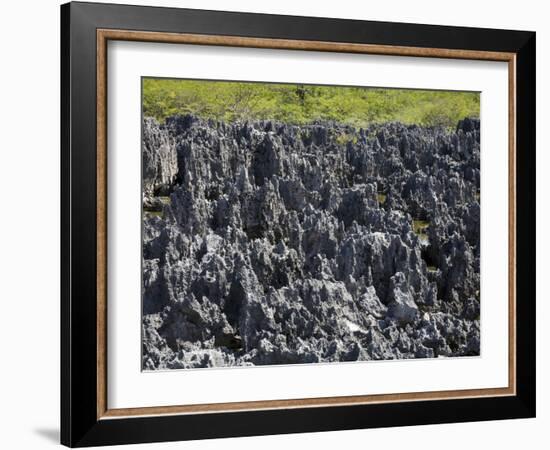 Rock Formations in Hell, Grand Cayman, Cayman Islands, Greater Antilles, West Indies, Caribbean-Richard Cummins-Framed Photographic Print