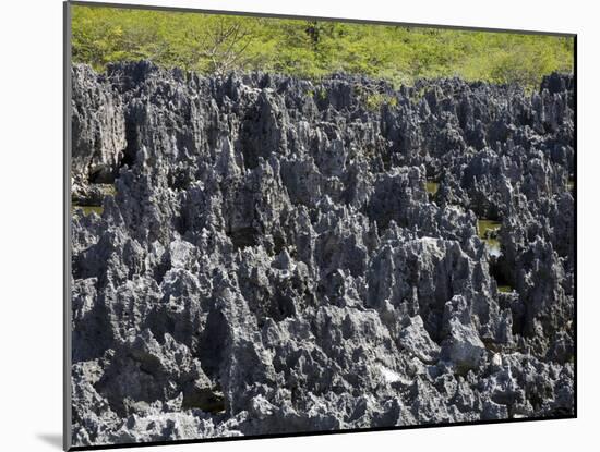 Rock Formations in Hell, Grand Cayman, Cayman Islands, Greater Antilles, West Indies, Caribbean-Richard Cummins-Mounted Photographic Print