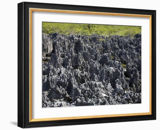 Rock Formations in Hell, Grand Cayman, Cayman Islands, Greater Antilles, West Indies, Caribbean-Richard Cummins-Framed Photographic Print