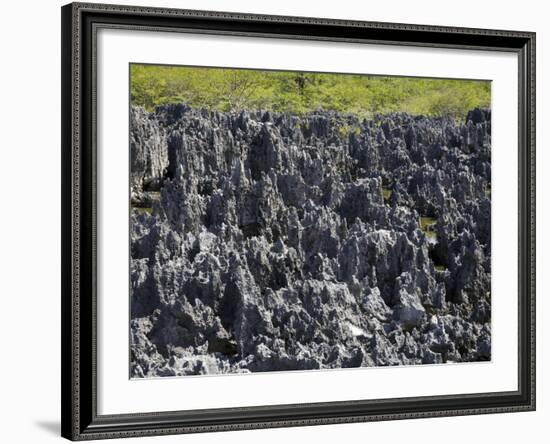 Rock Formations in Hell, Grand Cayman, Cayman Islands, Greater Antilles, West Indies, Caribbean-Richard Cummins-Framed Photographic Print