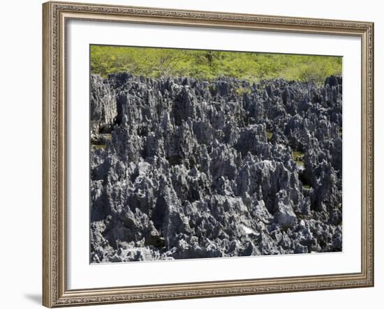 Rock Formations in Hell, Grand Cayman, Cayman Islands, Greater Antilles, West Indies, Caribbean-Richard Cummins-Framed Photographic Print