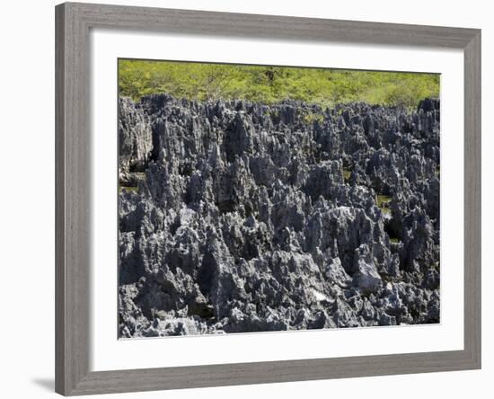 Rock Formations in Hell, Grand Cayman, Cayman Islands, Greater Antilles, West Indies, Caribbean-Richard Cummins-Framed Photographic Print