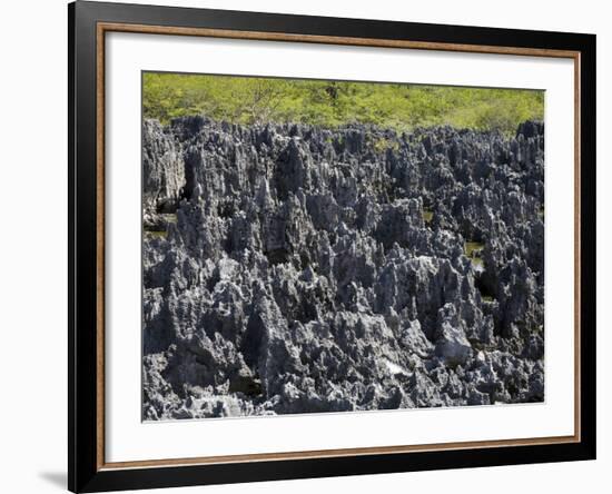 Rock Formations in Hell, Grand Cayman, Cayman Islands, Greater Antilles, West Indies, Caribbean-Richard Cummins-Framed Photographic Print