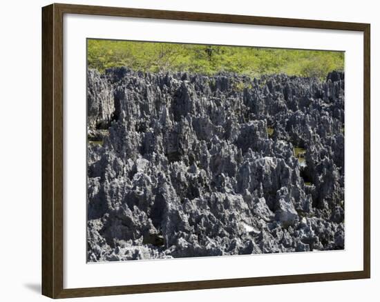 Rock Formations in Hell, Grand Cayman, Cayman Islands, Greater Antilles, West Indies, Caribbean-Richard Cummins-Framed Photographic Print