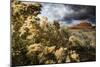 Rock Formations In Monticello, Utah Painted With Light During An On Coming Desert Storm-Dan Holz-Mounted Photographic Print