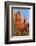 Rock Formations in Sedona, Arizona, United States of America, North America-Richard Cummins-Framed Photographic Print