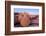 Rock formations on a landscape, Joshua Tree National Park, California, USA-null-Framed Photographic Print