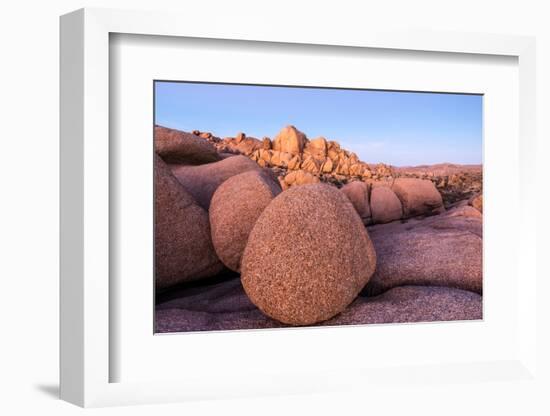 Rock formations on a landscape, Joshua Tree National Park, California, USA-null-Framed Photographic Print