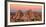 Rock formations on a landscape, Joshua Tree National Park, California, USA-null-Framed Photographic Print