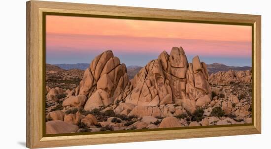 Rock formations on a landscape, Joshua Tree National Park, California, USA-null-Framed Premier Image Canvas