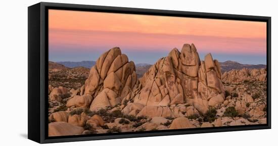 Rock formations on a landscape, Joshua Tree National Park, California, USA-null-Framed Premier Image Canvas