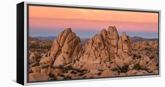 Rock formations on a landscape, Joshua Tree National Park, California, USA-null-Framed Premier Image Canvas