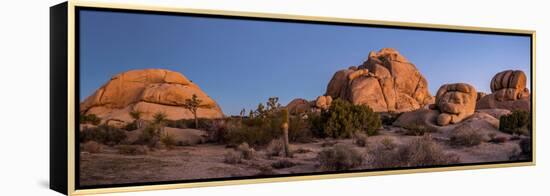 Rock formations on landscape with Juniper and Joshua Trees, Joshua Tree National Park, Californi...-null-Framed Premier Image Canvas