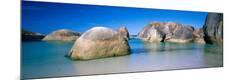 Photographic Print