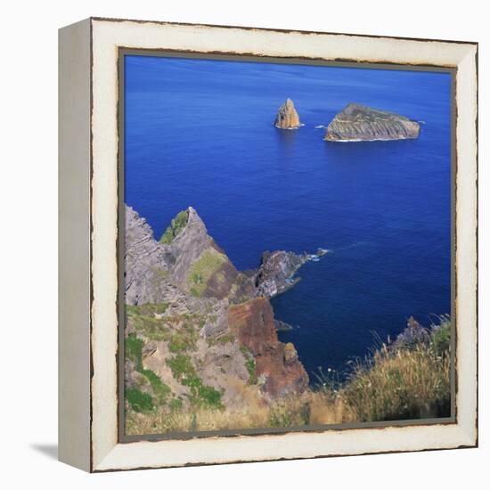 Rock Formations on the Volcanic Coastline on the Island of Graciosa in the Azores, Portugal-David Lomax-Framed Premier Image Canvas