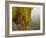 Rock Formations Seen Beyond Lichen Covered Rocks on the First Flatiron Above Boulder, Colorado.-Ethan Welty-Framed Photographic Print