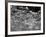 Rock Garden at Rounton Grange, East Rounton, Yorkshire-null-Framed Photographic Print