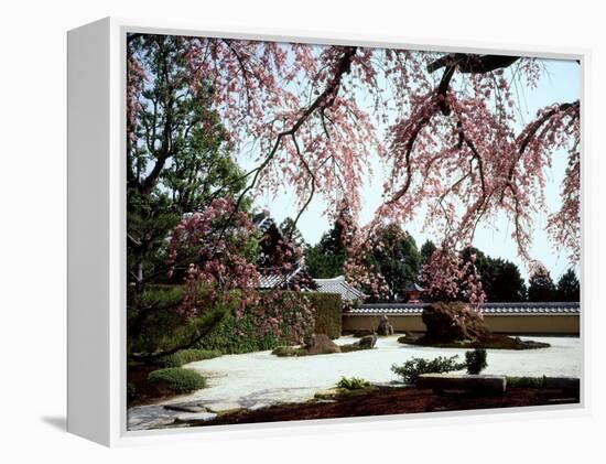 Rock Garden, Shoho-Ji Temple, Japan-null-Framed Premier Image Canvas