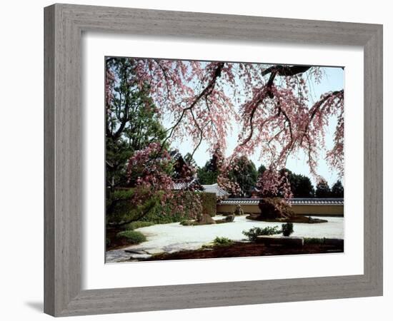 Rock Garden, Shoho-Ji Temple, Japan-null-Framed Photographic Print