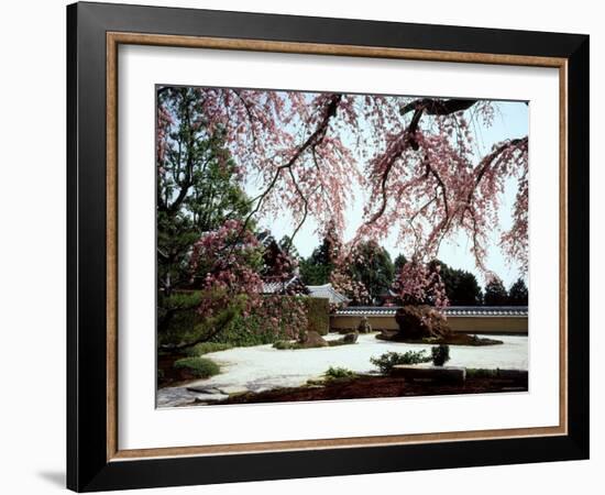 Rock Garden, Shoho-Ji Temple, Japan-null-Framed Photographic Print