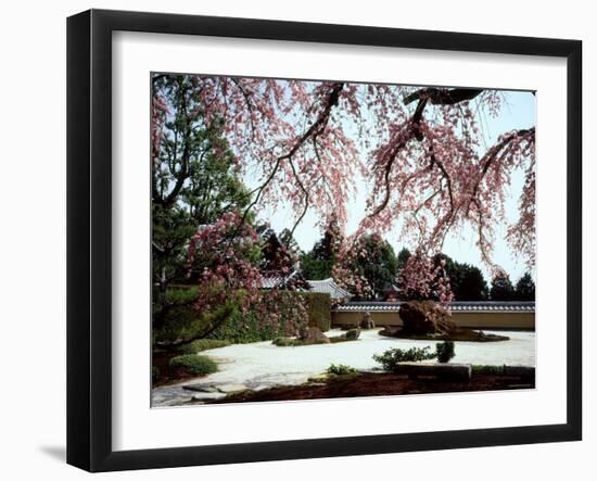 Rock Garden, Shoho-Ji Temple, Japan-null-Framed Photographic Print