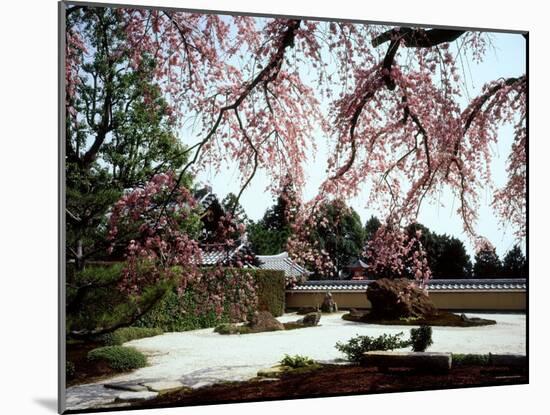 Rock Garden, Shoho-Ji Temple, Japan-null-Mounted Photographic Print
