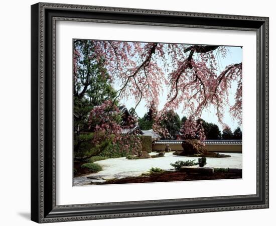 Rock Garden, Shoho-Ji Temple, Japan-null-Framed Photographic Print