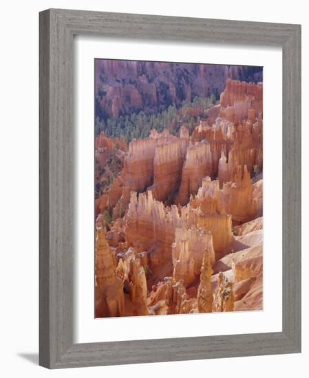 Rock Hoodoos from Sunset Point, Bryce Canyon National Park, Utah, USA-Gavin Hellier-Framed Photographic Print