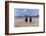 Rock Hudson and Elizabeth Taylor Ride Horses During the Filming of 'Giant', Marfa, Texas, 1956-Allan Grant-Framed Photographic Print