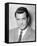 Rock Hudson-null-Framed Stretched Canvas