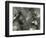 Rock, Ice, Grass, 1954-Brett Weston-Framed Photographic Print