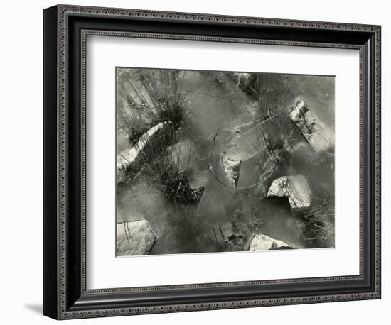 Rock, Ice, Grass, 1954-Brett Weston-Framed Photographic Print