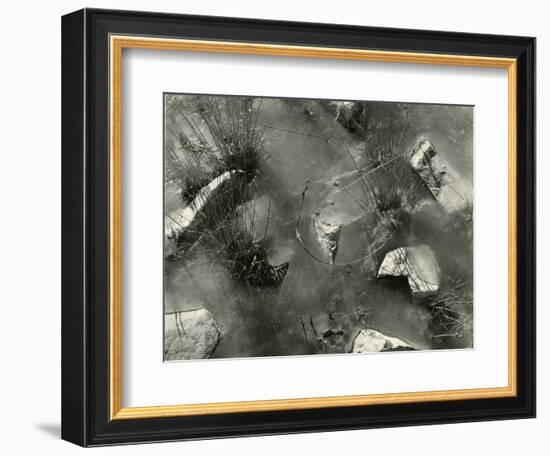 Rock, Ice, Grass, 1954-Brett Weston-Framed Photographic Print