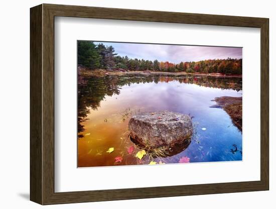 Rock in a Pond, Acadia National Park, Maine-George Oze-Framed Photographic Print