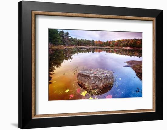 Rock in a Pond, Acadia National Park, Maine-George Oze-Framed Photographic Print