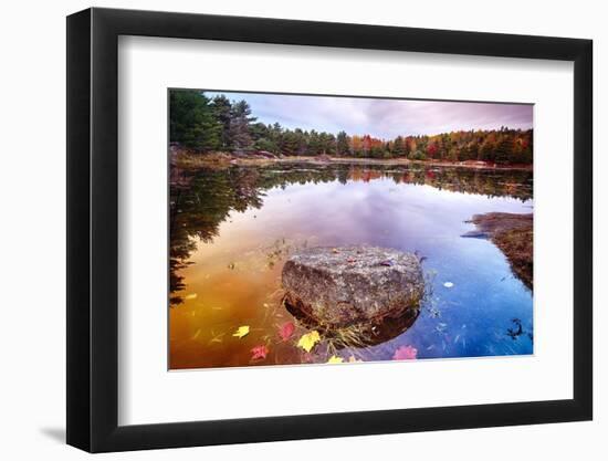 Rock in a Pond, Acadia National Park, Maine-George Oze-Framed Photographic Print