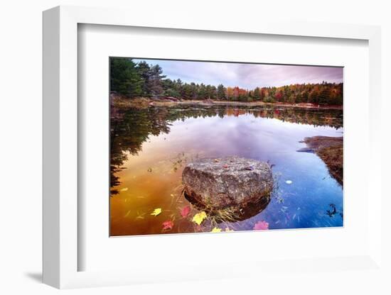 Rock in a Pond, Acadia National Park, Maine-George Oze-Framed Photographic Print