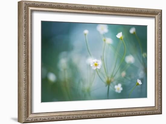 Rock Jasmine-Jacky Parker-Framed Giclee Print