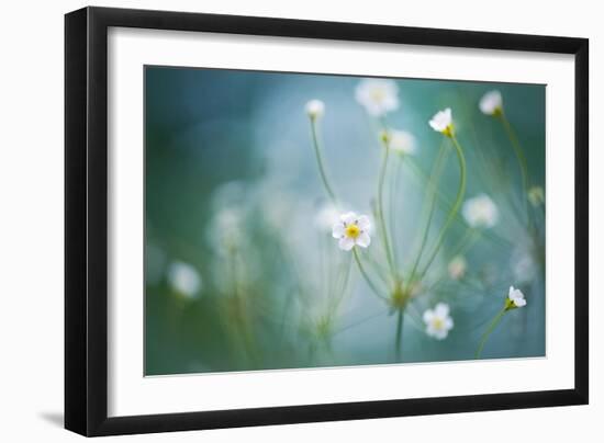 Rock Jasmine-Jacky Parker-Framed Giclee Print