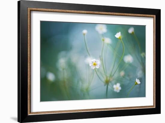 Rock Jasmine-Jacky Parker-Framed Giclee Print