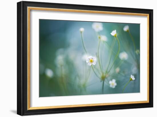 Rock Jasmine-Jacky Parker-Framed Giclee Print