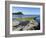 Rock Ledges and Clavell Tower in Kimmeridge Bay, Isle of Purbeck, Jurassic Coast-Roy Rainford-Framed Photographic Print